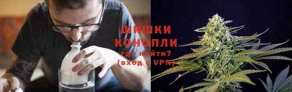 ГАЛЛЮЦИНОГЕННЫЕ ГРИБЫ Беломорск