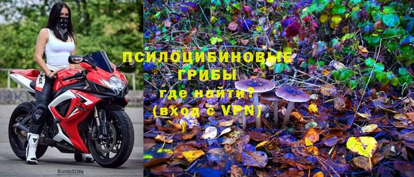 каннабис Белокуриха