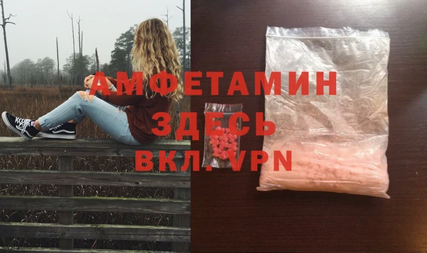 эйфоретик Няндома