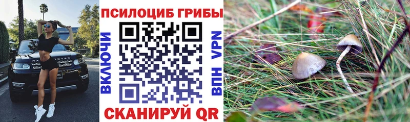 Галлюциногенные грибы Magic Shrooms  omg онион  Соль-Илецк  купить закладку 