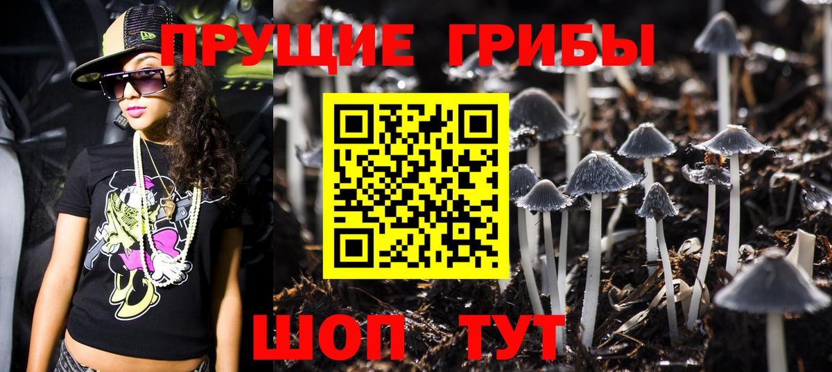 купить   Псилоцибиновые грибы Cubensis  Вход с VPN  Соль-Илецк 